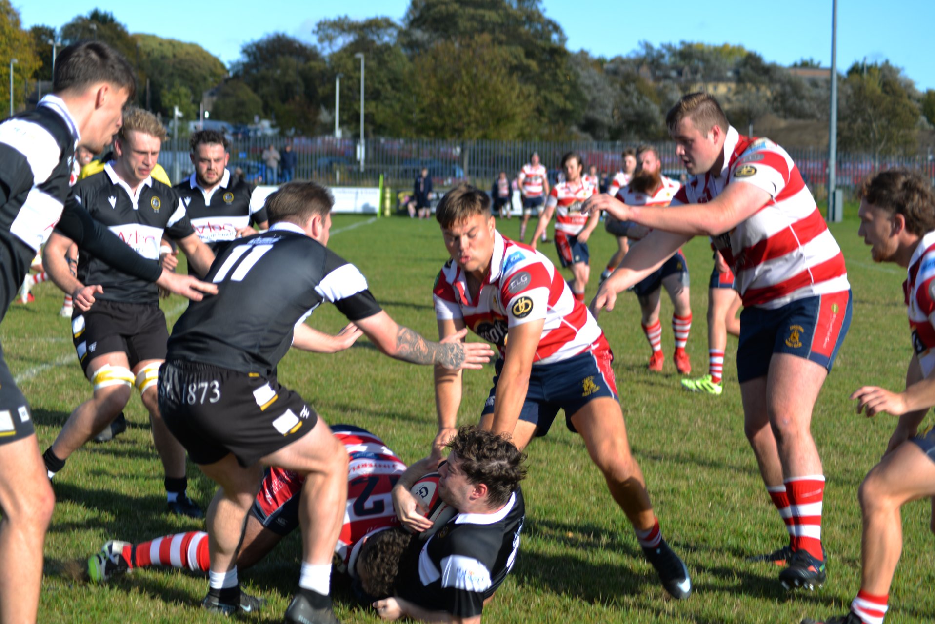 Adult players competing at Houghton Rugby Club